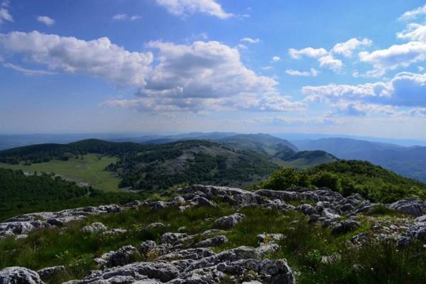 فندق Casuta De La Munte Sfodea المظهر الخارجي الصورة